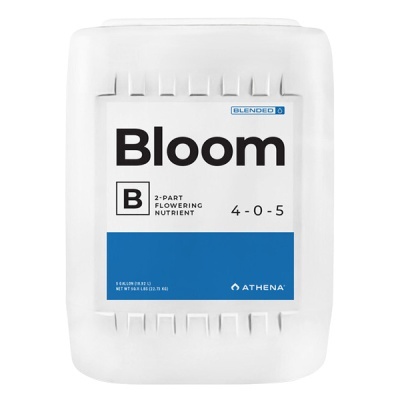 Athena Bloom B 3.78/18.92L