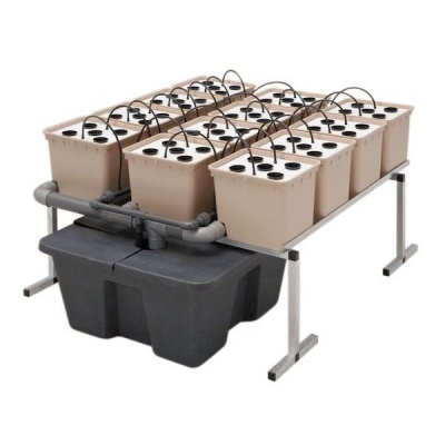 Dutch Pot 1m2 (48/72h)