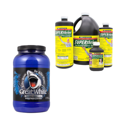 Suplementos / Estimuladores