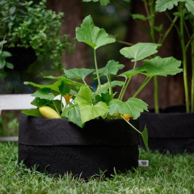 Smart Pot 45 Gallon (170 L)