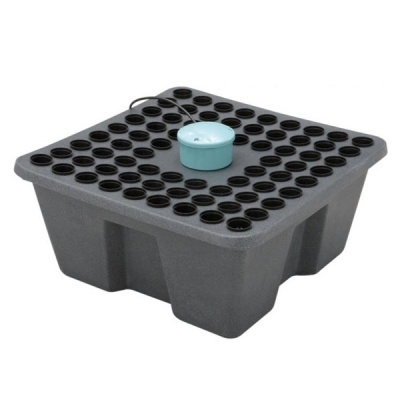 Rainforest 72 12v (48/72h)