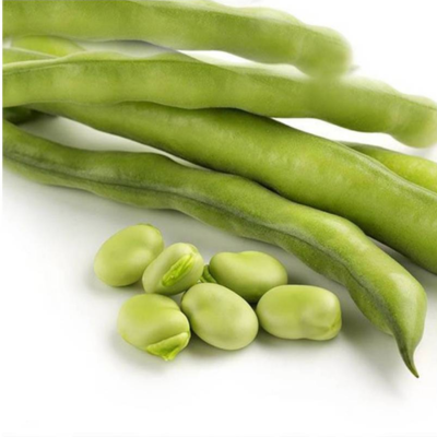 Fava Superagualdulce BIO (Sementes Vivas)