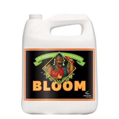 Bloom 10L