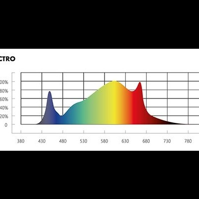 LED Force 150W/240W/320W LED Force 150W/240W/320W