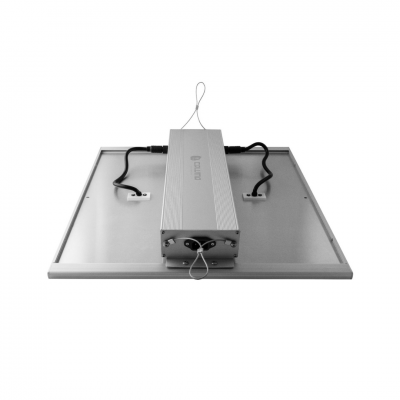 LED Force 150W/240W/320W LED Force 150W/240W/320W