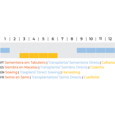 Fava Superagualdulce BIO (Sementes Vivas)