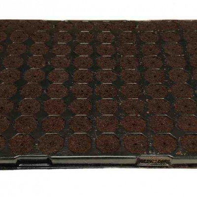 Bandeja Plugin Pro 126 Alvéolos