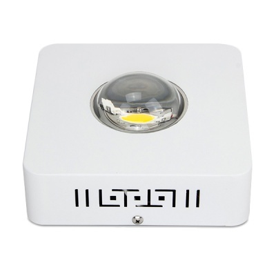 LED Super COB 100w Grow&Bloom