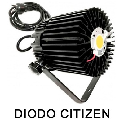 LED TGL 52W STAR 60 - 6500K Citizen