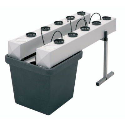 GROWSTREAM 10 (48/72h)