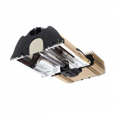 Dimlux Expert Series 600W EL UHF