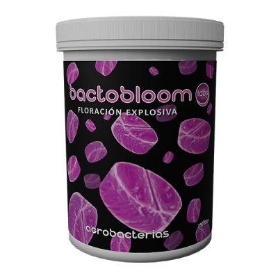 Bactobloom Tabs 250unid