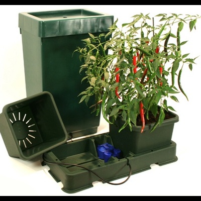 Easy2grow XL 2 - Deposito 47L (48/72h)