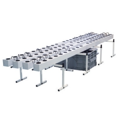 GROWSTREAM 80 (48/72h)