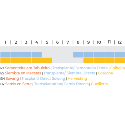 Espinafre Butterflay BIO (Sementes Vivas)
