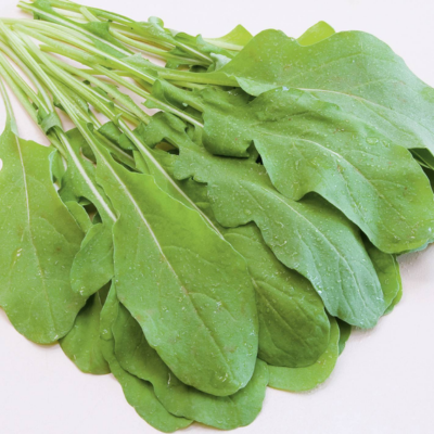Rúcula Ruca BIO (Sementes Vivas)