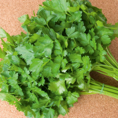 Salsa Comum 3 BIO (Sementes Vivas)