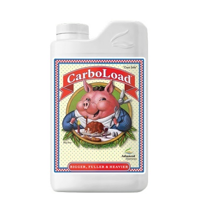 CarboLoad Liquid 250ml