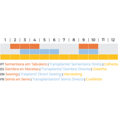 Calendário agrícola colorido com fases de plantação e colheita em português, espanhol, inglês e francês