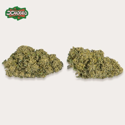 Cbd Xuxes Watermelon 3 gr.