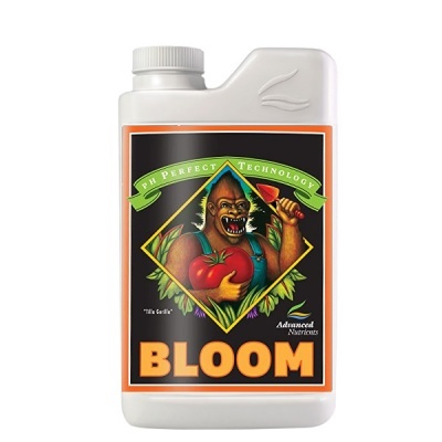 Bloom 1L