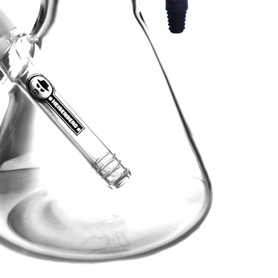 Heisenberg Ghetto Bitch