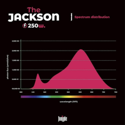 The Jackson 250W LED