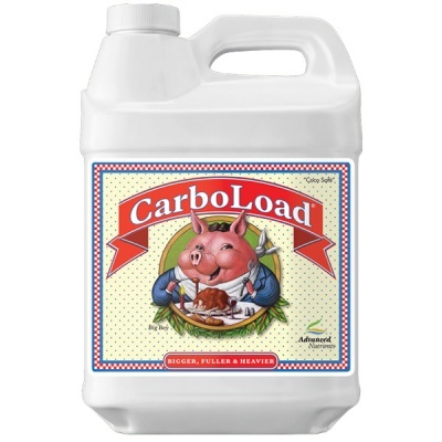 CarboLoad Liquid 10L