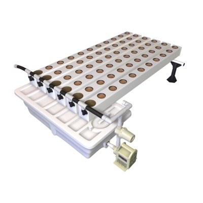 GROWSTREAM 60 (48/72h)