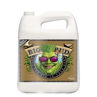 Big Bud COCO Liquid 4L