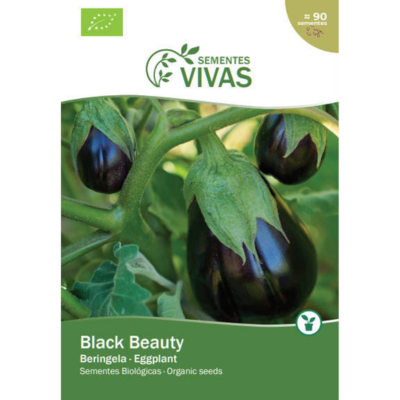 Beringela Black Beauty BIO (Sementes Vivas)
