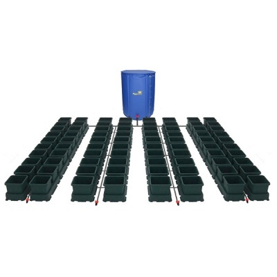 Easy2grow XL 80 - Deposito 750L (48/72h)