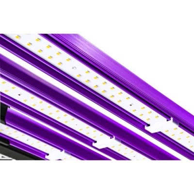 Led Lumatek Attis 300W PRO