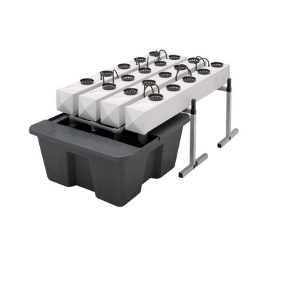 GROWSTREAM 20 (48/72h)