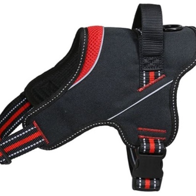 PEITORAL STRONG  - em vários tamanhos e cor