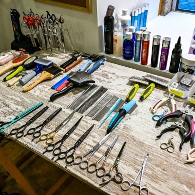 Banhos e tosquias - Dog grooming - Cortes de raça