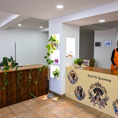 Banhos e tosquias - Dog grooming - Cortes de raça