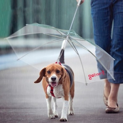 Trela GUARDA-CHUVA 45CM - ande protegido no outono e inverno de PT