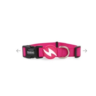 Dashi Solid Pink Collar
