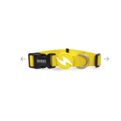 Dashi Solid Yellow Collar