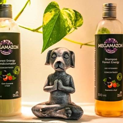 Banhos e tosquias - Dog grooming - Cortes de raça