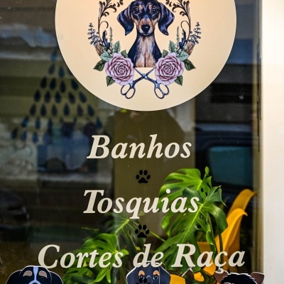 Banhos e tosquias - Dog grooming - Cortes de raça