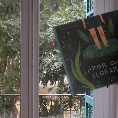 Porque choramos? | Akiara Books