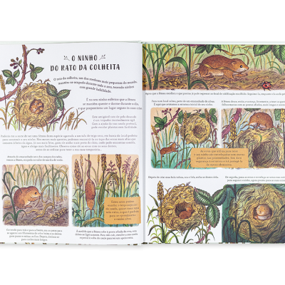 Com Olhos de Ver | Edicare