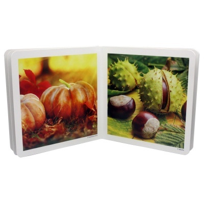 Outono | Nowordbooks