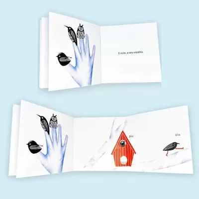 Pássaros na Mão | UPA Editora