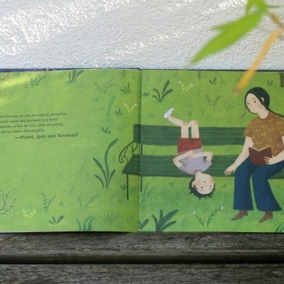 Porque choramos? | Akiara Books