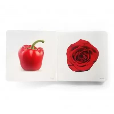 Vermelho | Nowordbooks