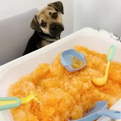 Glitter Gelli Play [50gr] | Zimpli Kids