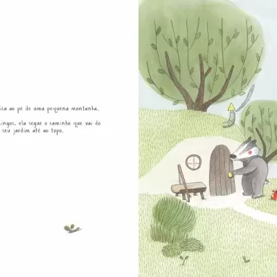 O caminho da Montanha | Baduga